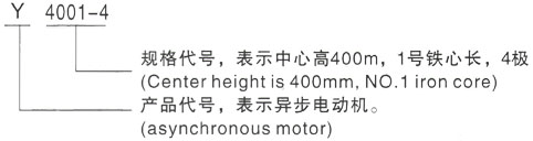 西安泰富西玛Y系列(H355-1000)高压JR128-4三相异步电机型号说明