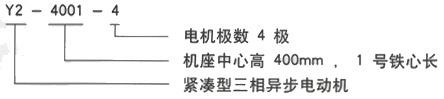 YR系列(H355-1000)高压JR128-4三相异步电机西安西玛电机型号说明